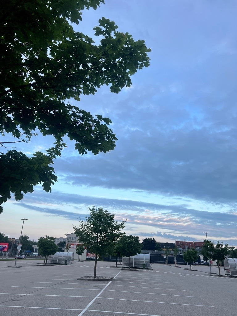 IMG_7299 | ace - Realisiert mit Pictrs.com