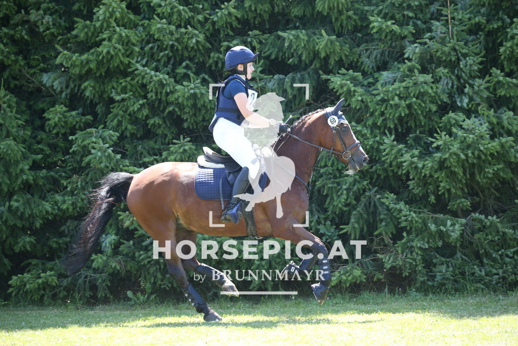 DL2Q0353 | Willkommen bei Brunnmayr - Design & Fotografie – Ihrem Spezialisten für Reitturniere und Pferdeveranstaltungen in Oberösterreich, Salzburg und Bayern! Seit über 17 Jahren sind wir leidenschaftlich dabei.