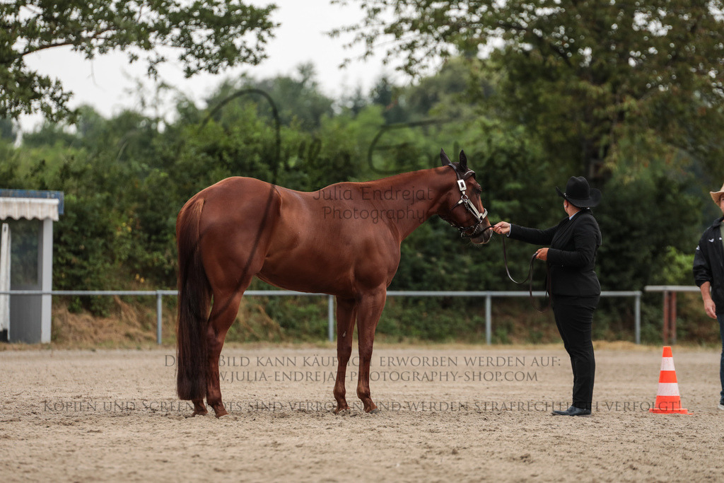 20230630-JuliaEndrejatPhotography-0238 | Julia Endrejat Photography