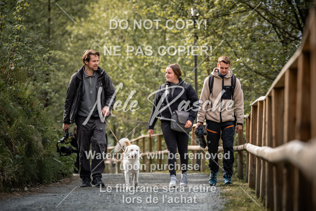 nelerasche_SaAbends_94 | nelerasche - Realisiert mit Pictrs.com