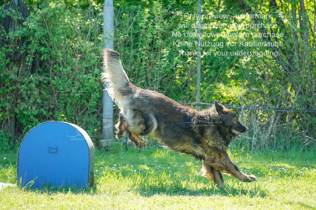 Sa_VK3_03-47 | stephaniefillaphotographie - Realisiert mit Pictrs.com