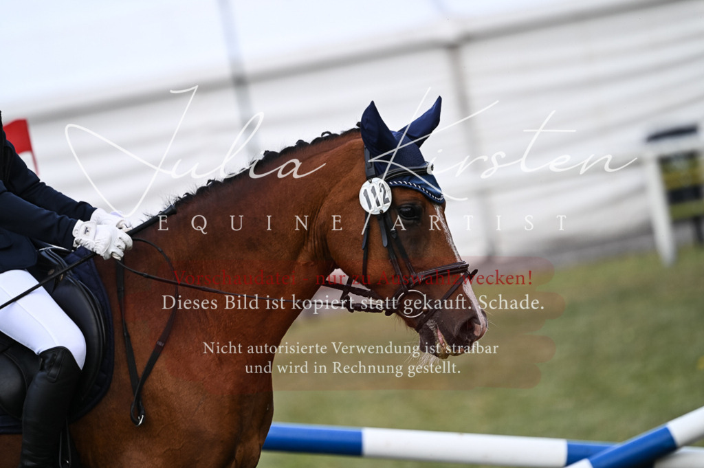 DSC_5514-2 | Pferde- und Turnierfotografie in Westsachsen. Pferdeportraits, Auftragszeichnungen und intuitive Kunst.