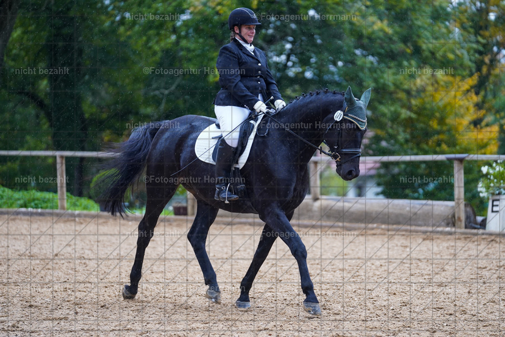 20221008-FAH02029 | Diessen am Ammersee, 2022, Dressur- und Springturnier, Reitsportbilder, Turnierfotografen Bayern, Pferdefotografen, Fotoagentur Herrmann, Turnierbilder