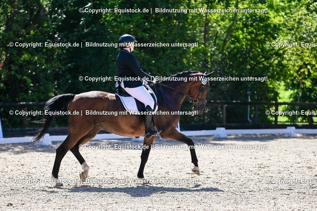 20230908_06_Dressur-L-Trense_0514 | equistock