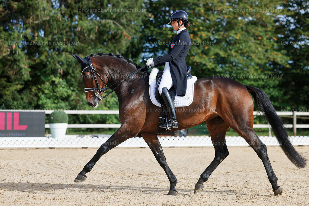 13-110-S___ -StoibPH-6938 | working equitationturnier fotograf videograf stoibphotography marixx film working equitation deutschland reitsport turnierfotografie eventfotografie equestrian events