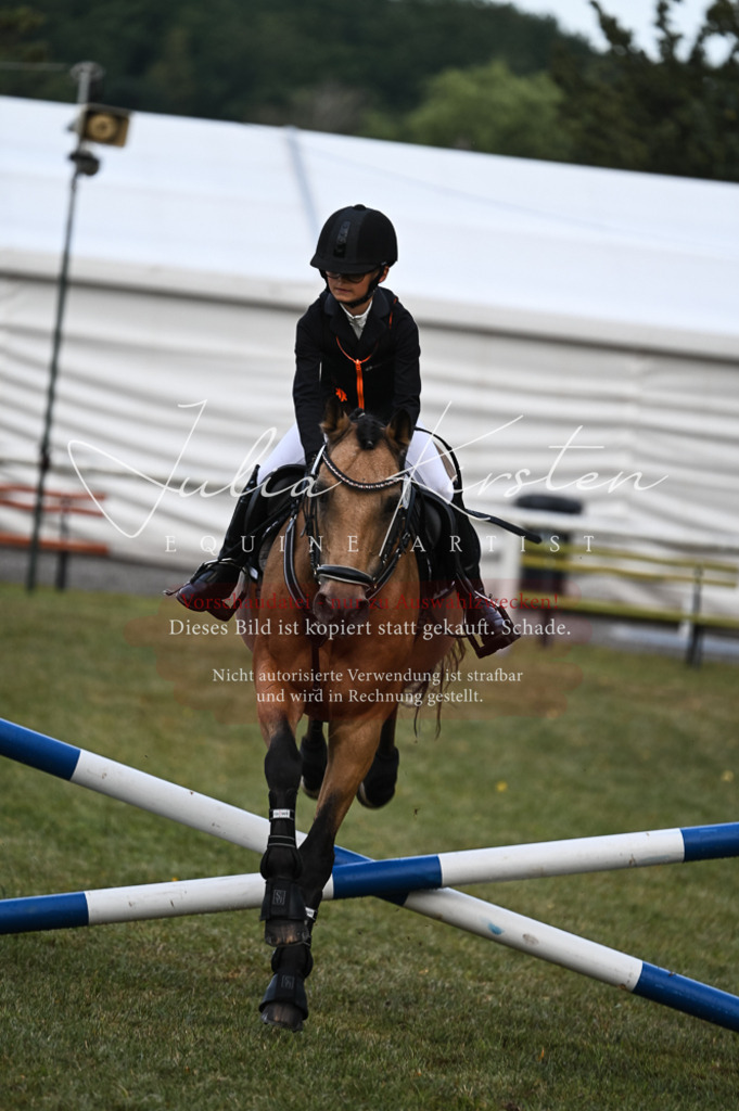 DSC_5618-2 | Pferde- und Turnierfotografie in Westsachsen. Pferdeportraits, Auftragszeichnungen und intuitive Kunst.