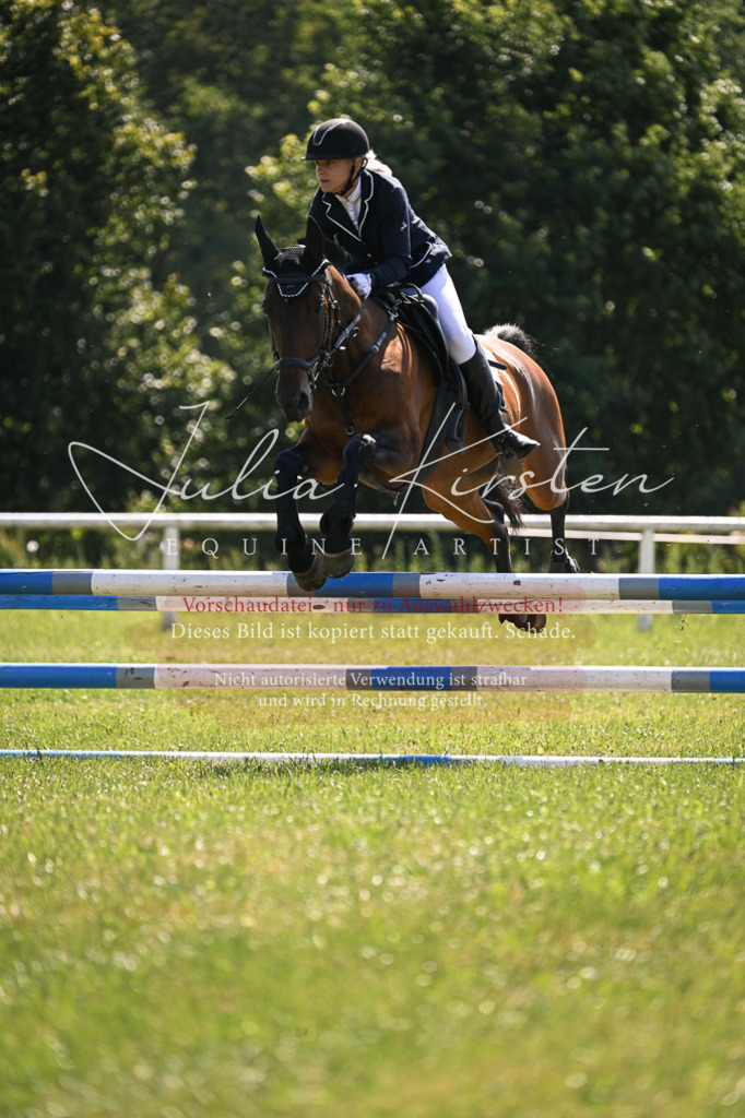 DSC_8917 | Pferde- und Turnierfotografie in Westsachsen. Pferdeportraits, Auftragszeichnungen und intuitive Kunst.