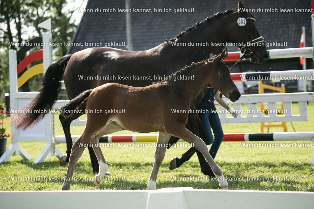 598A6917 | photographylinaismer - Realisiert mit Pictrs.com