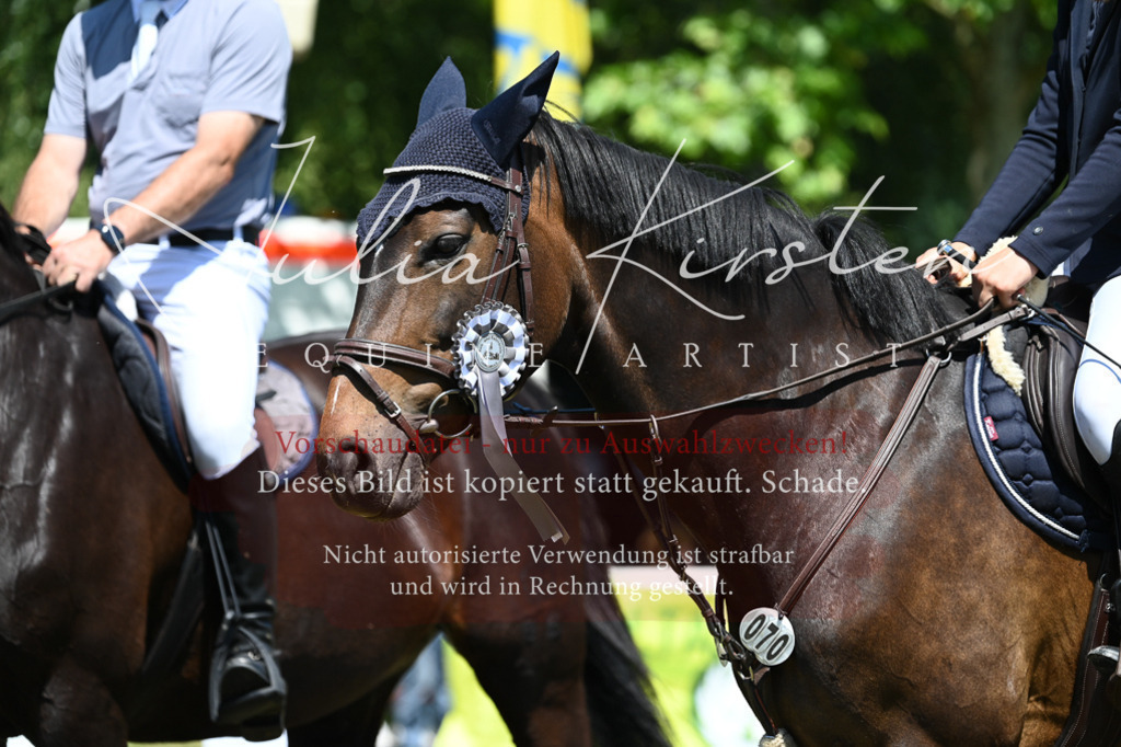 DSC_0896 | Pferde- und Turnierfotografie in Westsachsen. Pferdeportraits, Auftragszeichnungen und intuitive Kunst.