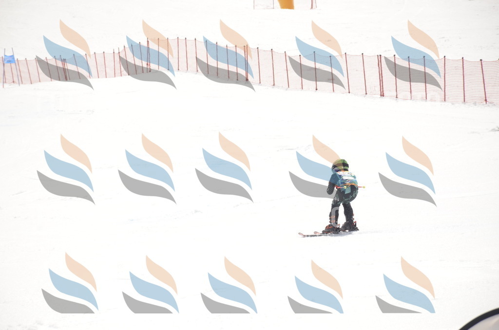 _ELE8463 | holidayphoto