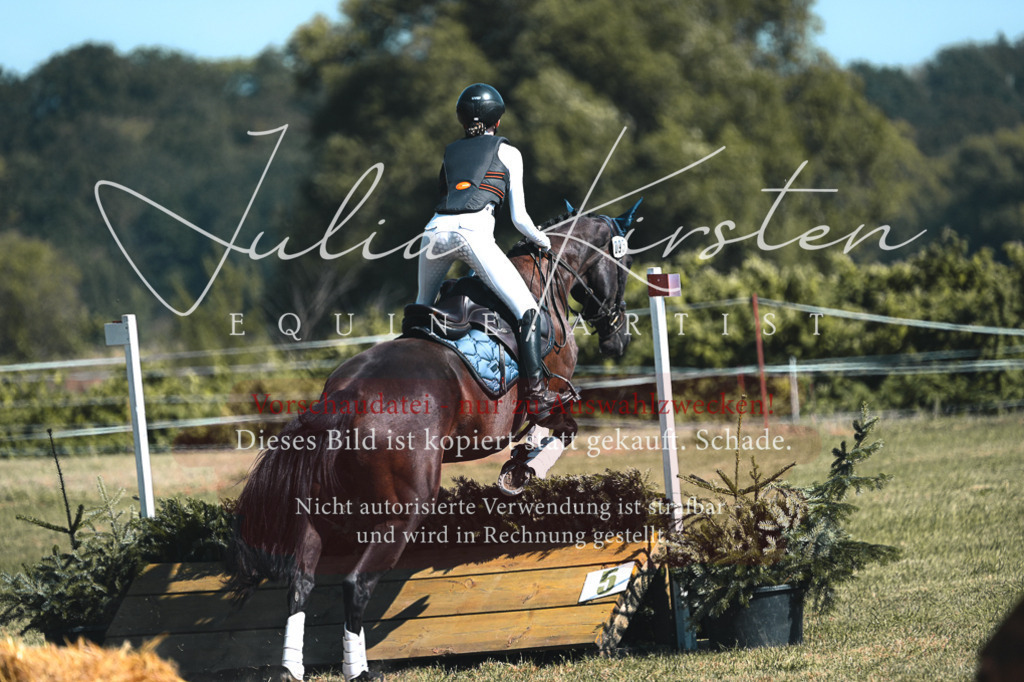 DSC_8339 | Pferde- und Turnierfotografie in Westsachsen. Pferdeportraits, Auftragszeichnungen und intuitive Kunst.