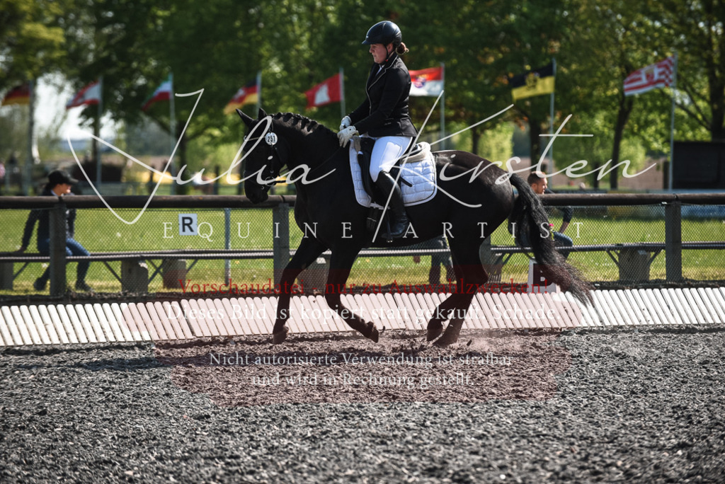 DSC_8812 | Pferde- und Turnierfotografie in Westsachsen. Pferdeportraits, Auftragszeichnungen und intuitive Kunst.