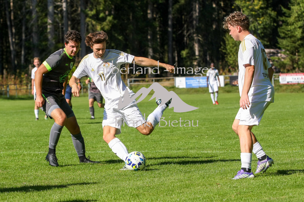 993T2519 | Medien- Sport- Entertainmentfotos