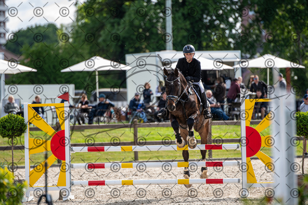 KPT_4810 | andre_photographic