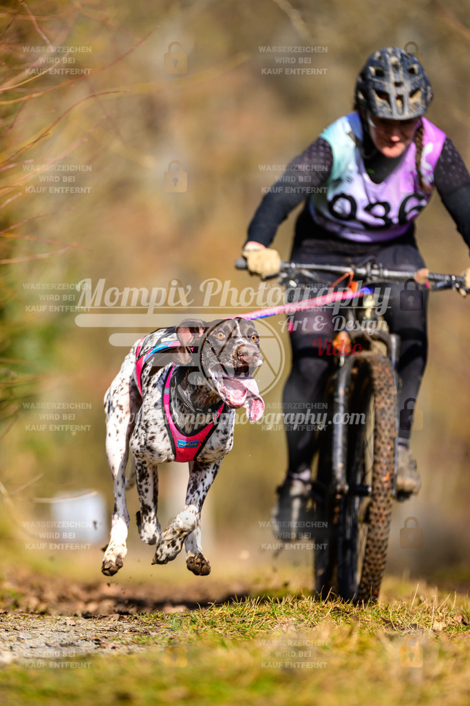 MompixPhotography_Schwabentrail2025_SO_Bike-8 | PayLife
