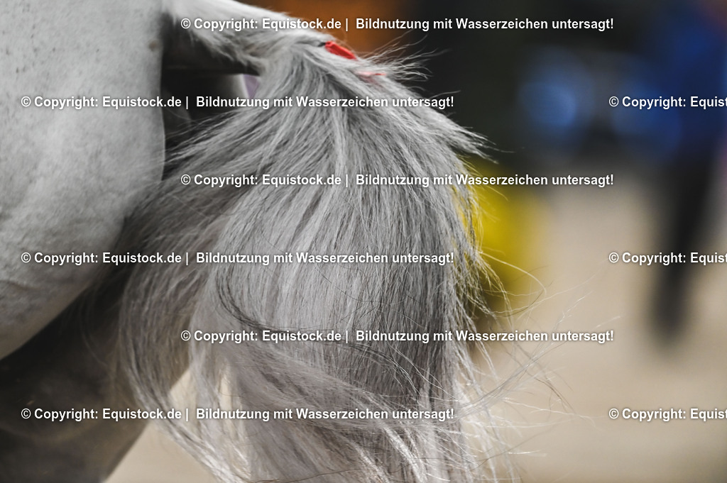 20241115_Preis der Outletcity Metzingen_TOMsPiC_0248 | Foto: Thomas Hartig