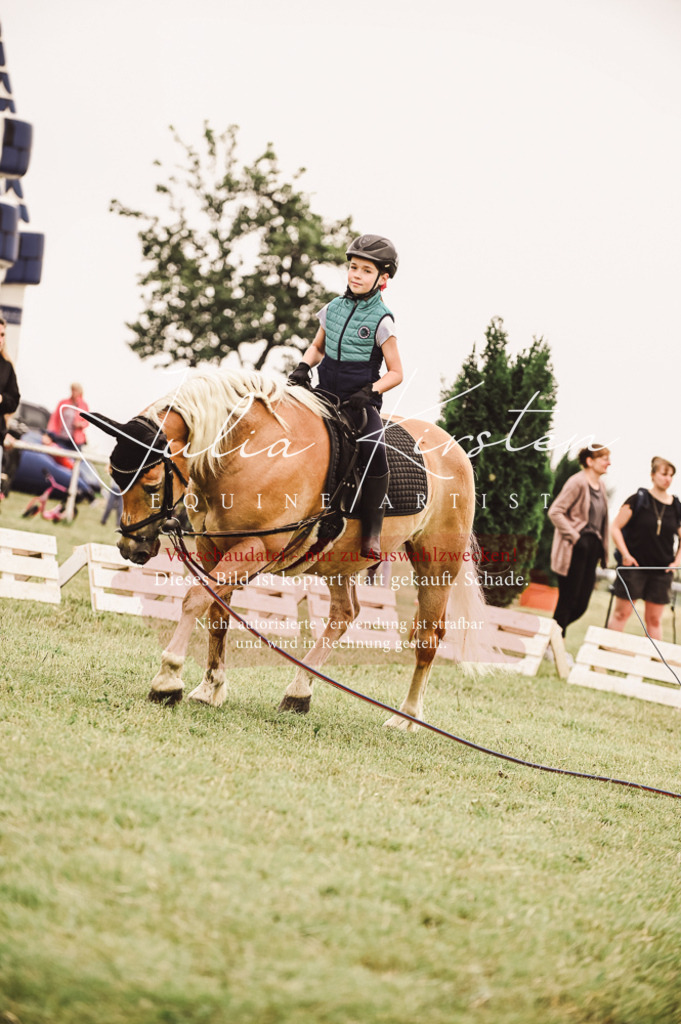 DSC_5312 | Pferde- und Turnierfotografie in Westsachsen. Pferdeportraits, Auftragszeichnungen und intuitive Kunst.