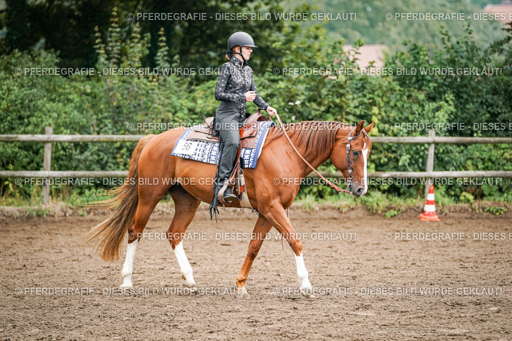 DSC02408 | Pferdegrafie