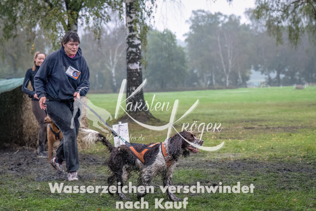 1256--5 | kk-dogfotos