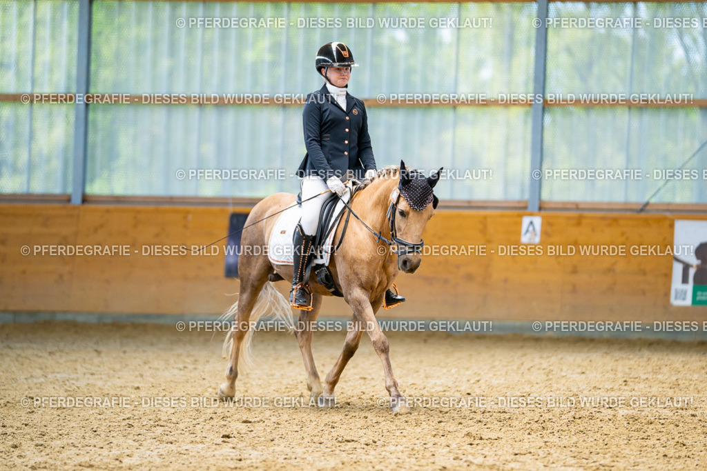 DSC09203 | Pferdegrafie