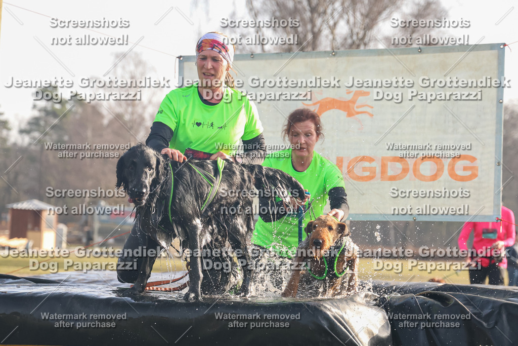 Dog Paparazzi - SD North 0326 900930-269 | Dog Paparazzi Jeanette Grottendiek Fotografie & Videografie - Realisiert mit Pictrs.com