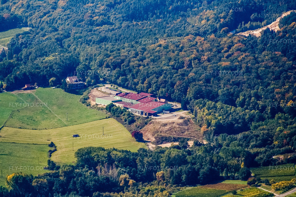 Aerial view: Cave Vinicole de Cléebourg in Oberhoffen-lès-Wissembourg in the state Bas-Rhin, France. – Photo: IMG_13610.jpg taken on 09/28/2008 by Werner Riehm/FLY-FOTO.com – Resolution of the original: 3392 x 2261 px – Cave de Cleebourg