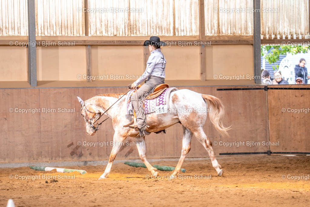 AQS07950 | BS-foto