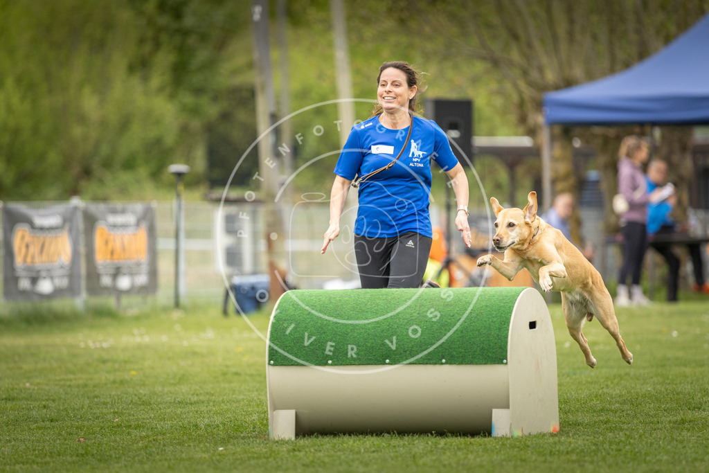 Pfotenfotografie_DV3A1365 | Hundefotografie, Tierfotograf, Pfotenfotografie, Fotoshooting Hund, Hunde Portrait, Hundesport, Hundeportraits, Heideshooting, Hunde, Sportfotograf, Hundefotograf, Turnierhundsport, THS,  - Realisiert mit Pictrs.com