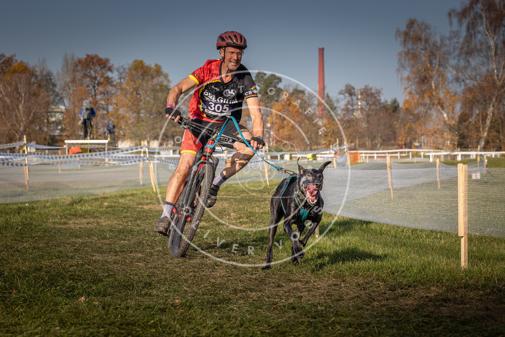 CaniXpix_0L8A7127 | Hundefotografie, Tierfotograf, Pfotenfotografie, Fotoshooting Hund, Hunde Portrait, Hundesport, Hundeportraits, Heideshooting, Hunde, Sportfotograf, Hundefotograf, Turnierhundsport, THS,  - Realisiert mit Pictrs.com