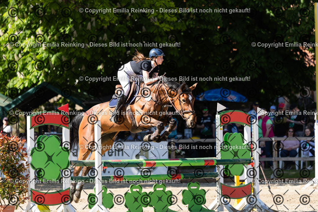 CL5A3028 | Emilia Reinking Fotografie - Realisiert mit Pictrs.com