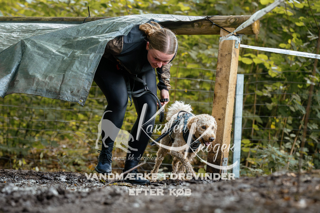 1419DZ6_1610Z6 | kk-dogfotos
