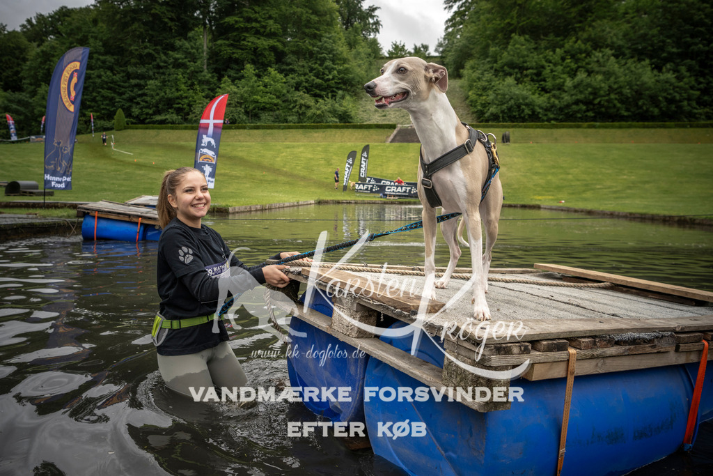 1102_ZZ95937 | kk-dogfotos