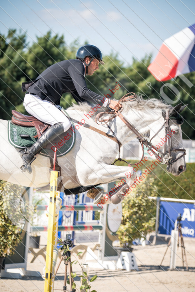 DSC_3738 | Sport-, Event- und Tierfotos in Profiqualität. Einfach auswählen, bestellen und herunterladen. Dein Moment – perfekt festgehalten.