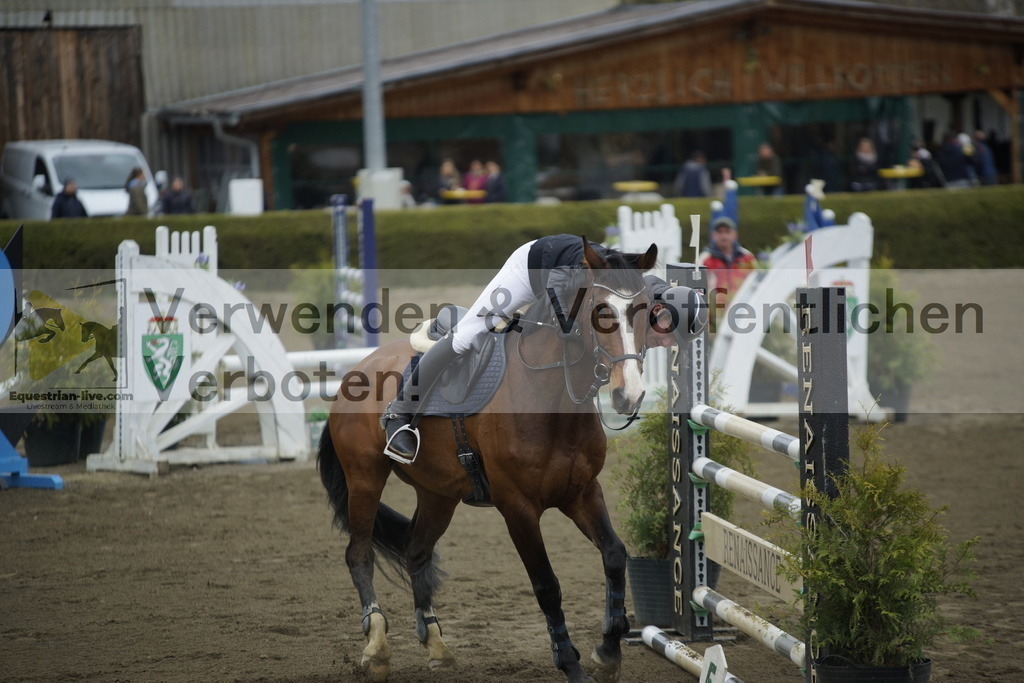 _DSC7132 | equestrian-live-com