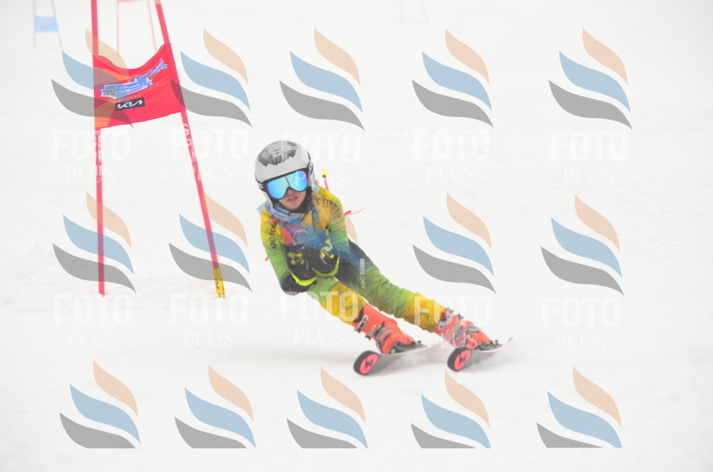 C1741 | holidayphoto