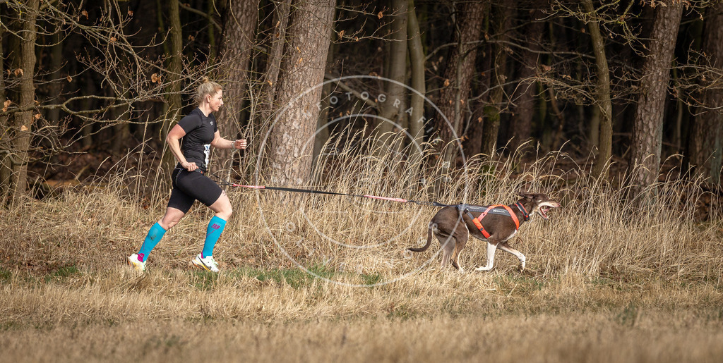 DV3A3877 | Hundefotografie, Tierfotograf, Pfotenfotografie, Fotoshooting Hund, Hunde Portrait, Hundesport, Hundeportraits, Heideshooting, Hunde, Sportfotograf, Hundefotograf, Turnierhundsport, THS,  - Realisiert mit Pictrs.com