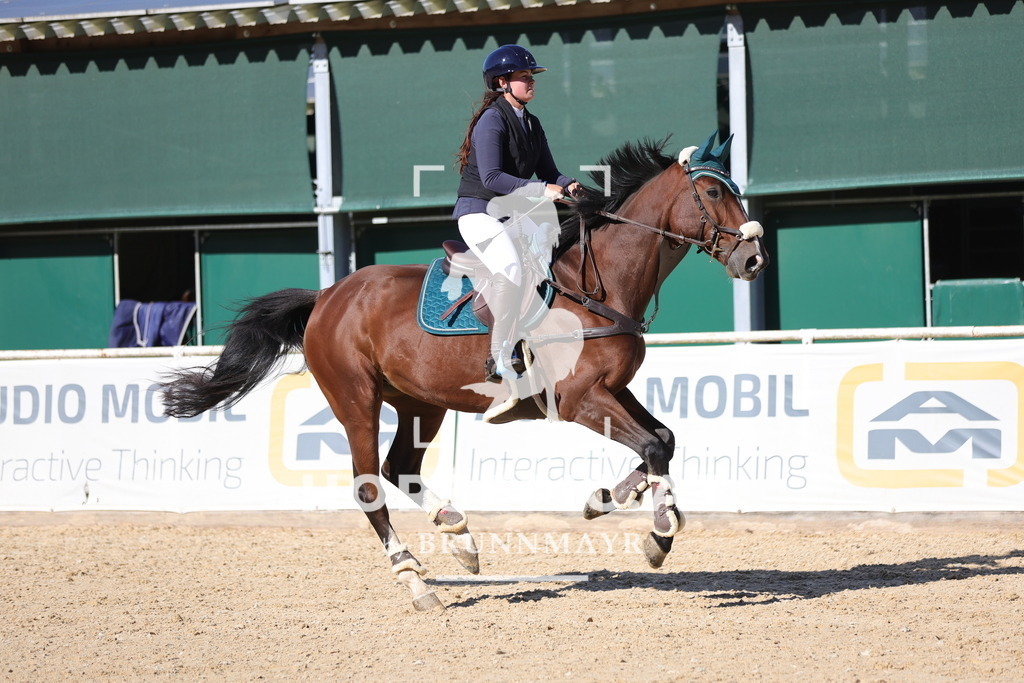 0P6A0814 | Willkommen bei Brunnmayr - Design & Fotografie – Ihrem Spezialisten für Reitturniere und Pferdeveranstaltungen in Oberösterreich, Salzburg und Bayern! Seit über 17 Jahren sind wir leidenschaftlich dabei.