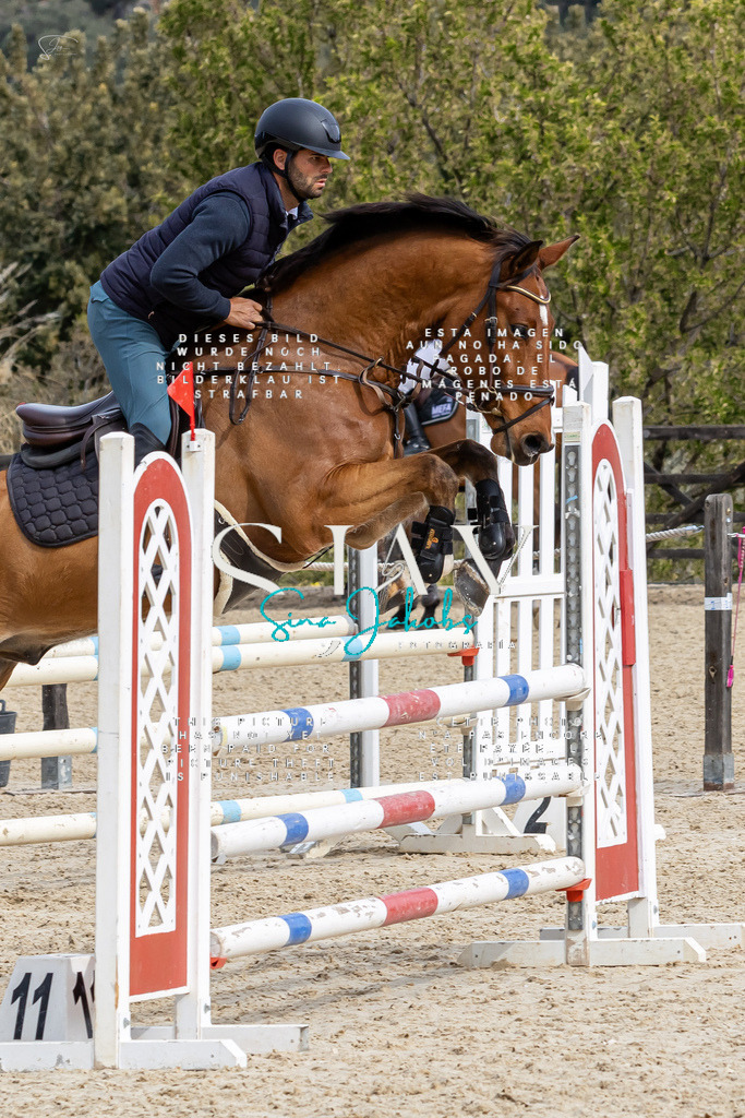 IMG_3795 | s-jay-photography - Realized with Pictrs.com