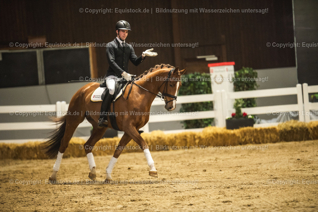 20240302_Hengstvorstellung_Marbach_TOMsPiC_0361 | equistock