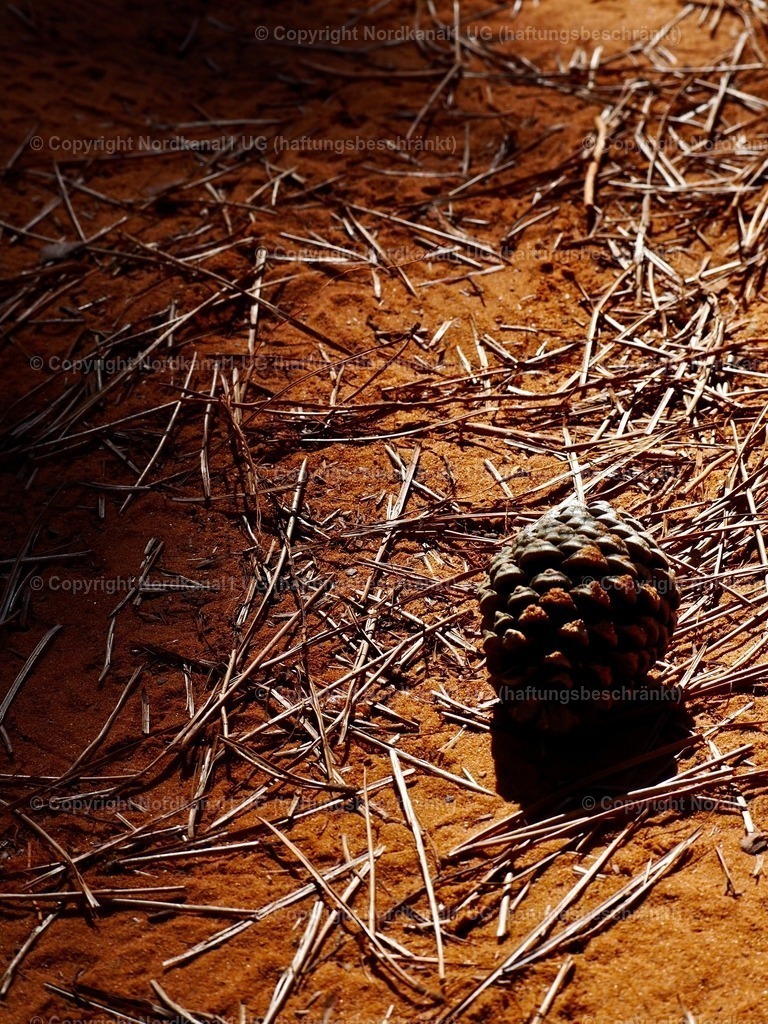 IMG_2942 | OLYMPUS DIGITAL CAMERA          - Realisiert mit Pictrs.com