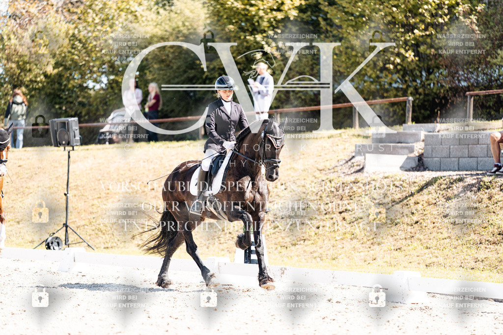 CK904087 | Turnierfotografie Pferdefotografie Trier Rheinland-Pfalz Pferdesport Reitsport Tierfotografie Sportfotografie Pferdevideo Pferdevideografie Equestrianvideography equestrianphotography  - Realisiert mit Pictrs.com