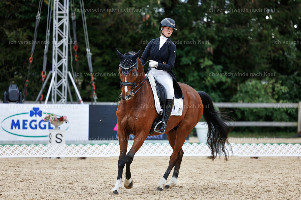 11-048-Dressur S___-StoibPH-1405 | working equitationturnier fotograf videograf stoibphotography marixx film working equitation deutschland reitsport turnierfotografie eventfotografie equestrian events