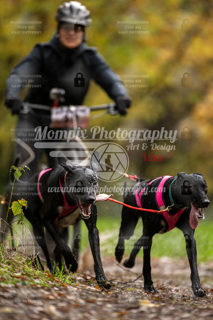 MompixPhotography_Bischwiller23_DS2-4 | PayLife