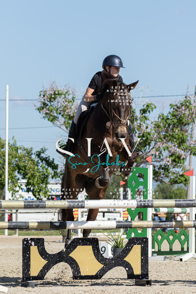 IMG_1021 | s-jay-photography - Realisiert mit Pictrs.com