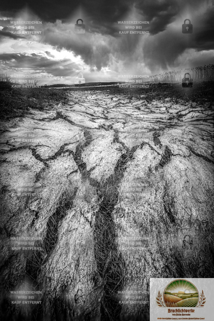 Da wo mal Wasser war | Professioneller Fotograf mit 10 Jahren Erfahrung. Landschafts- und Hochzeitsfotografie im Oderbruch. Workshops und beeindruckende Bilder für besondere Momente.