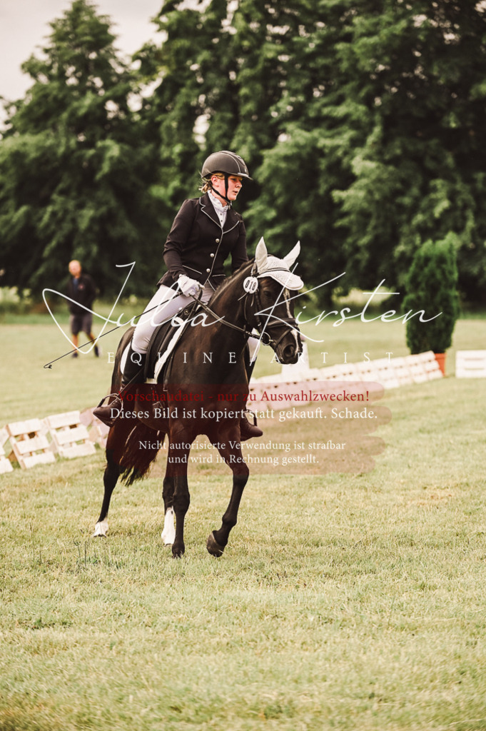DSC_4827 | Pferde- und Turnierfotografie in Westsachsen. Pferdeportraits, Auftragszeichnungen und intuitive Kunst.