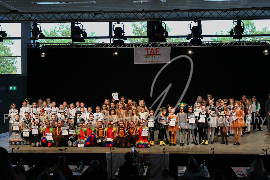 steppdm22_3940 | FRANK WIESEHAHN MEDIA - Realisiert mit Pictrs.com