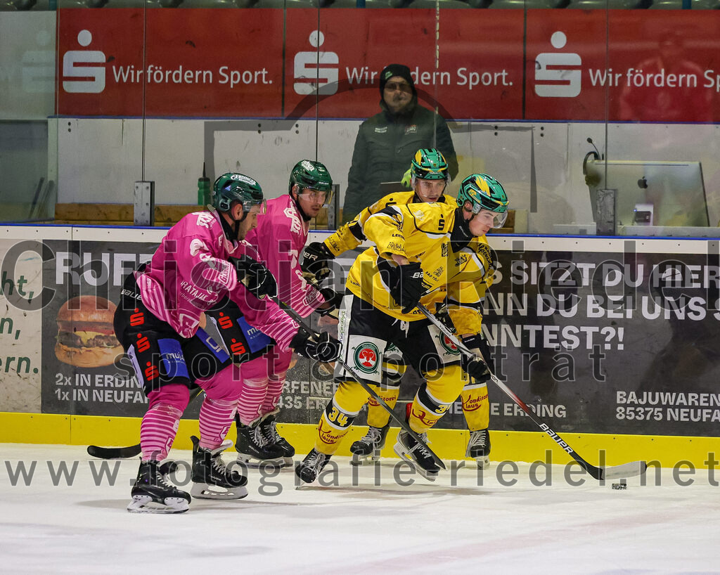 2025-10-28_161_TSV_Erding_gegen_Toelzer_Loewen | Erding, Deutschland, 28.10.2025:Eishockey, Oberliga Süd 2025 / 2026, 13. Spieltag, TSV Erding gegen Tölzer Löwen, Endergebnis: 2:5Maximilian Forster (Erding Gladiators, #81), Louis Trattner (Erding Gladiators, #7), Kilian Kathan (Tölzer Löwen, #34)Foto: Christian Riedel / fotografie-riedel.net