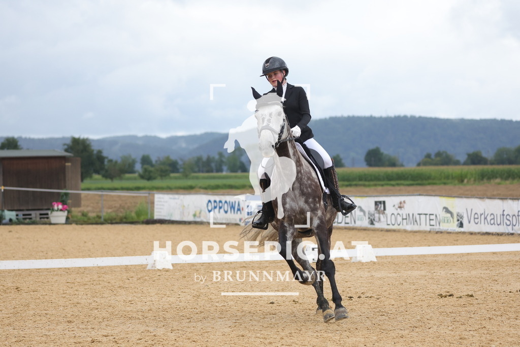 0P6A1710 | Willkommen bei Brunnmayr - Design & Fotografie – Ihrem Spezialisten für Reitturniere und Pferdeveranstaltungen in Oberösterreich, Salzburg und Bayern! Seit über 17 Jahren sind wir leidenschaftlich dabei.