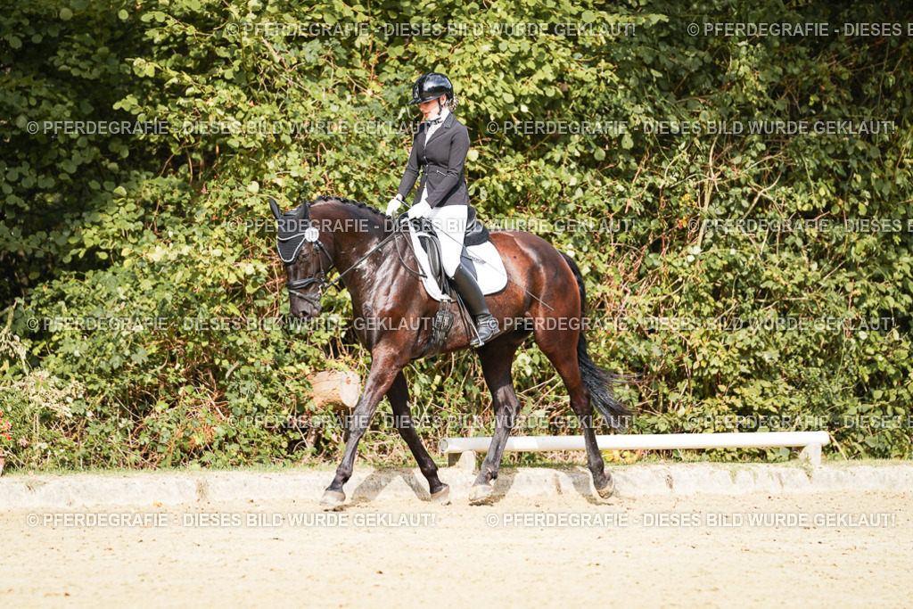 DSC03035 | Pferdegrafie